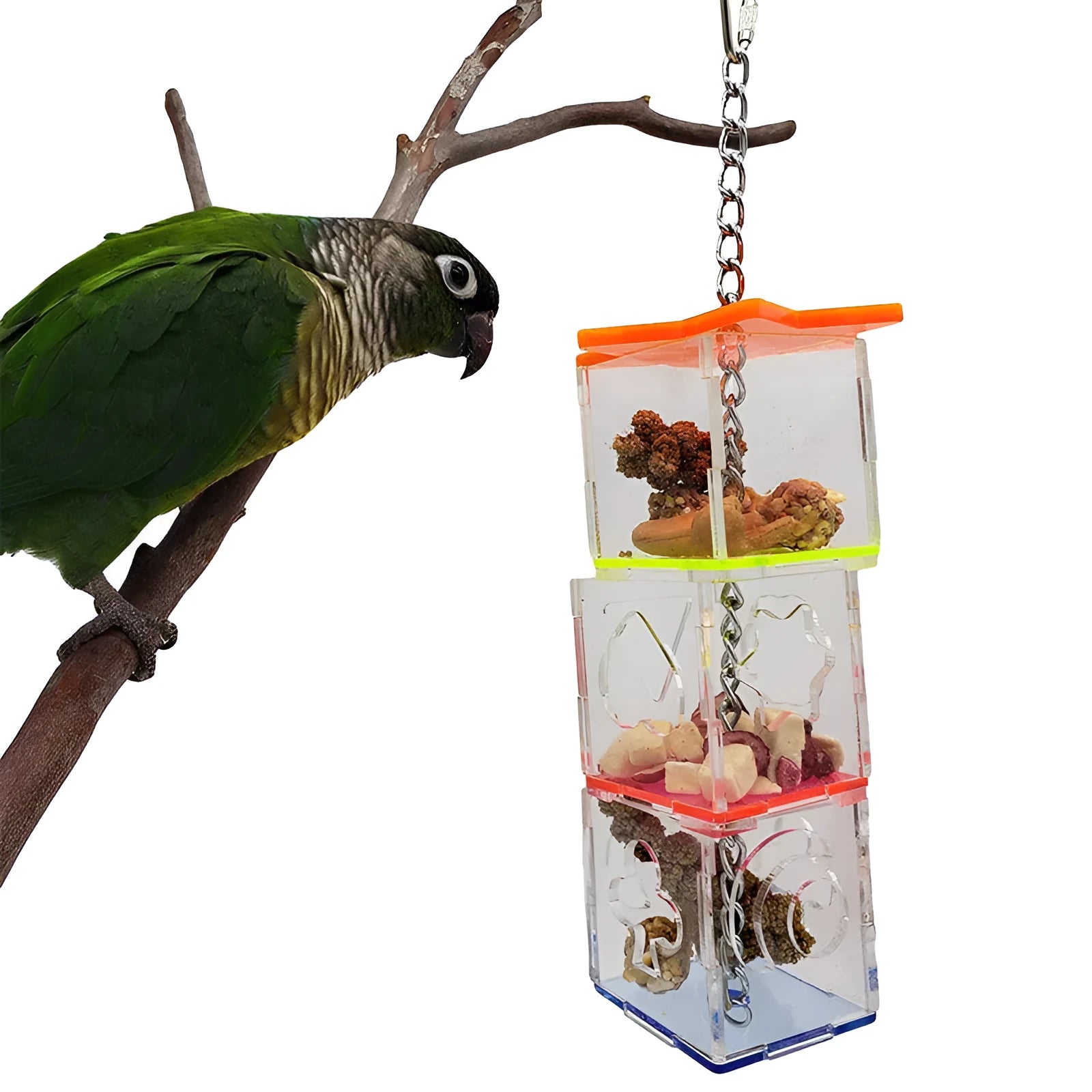 Clear acrylic parrot foraging toy measuring 5x5x32cm for holding bird treats