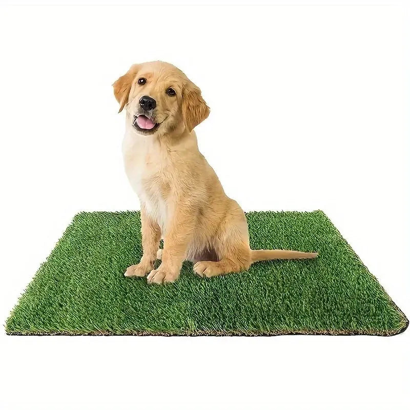 Artificial grass dog toilet training mat on floor with measurement showing 46x36cm size