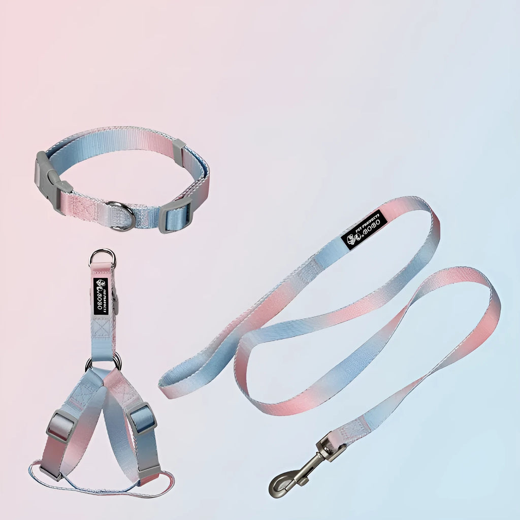 Nylon dog leash and collar set in a gradient colour design of blue and pink