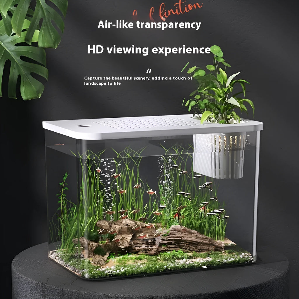 Plastic betta fish tank with cover measuring 32x18.5x23 cm in black and white colour options