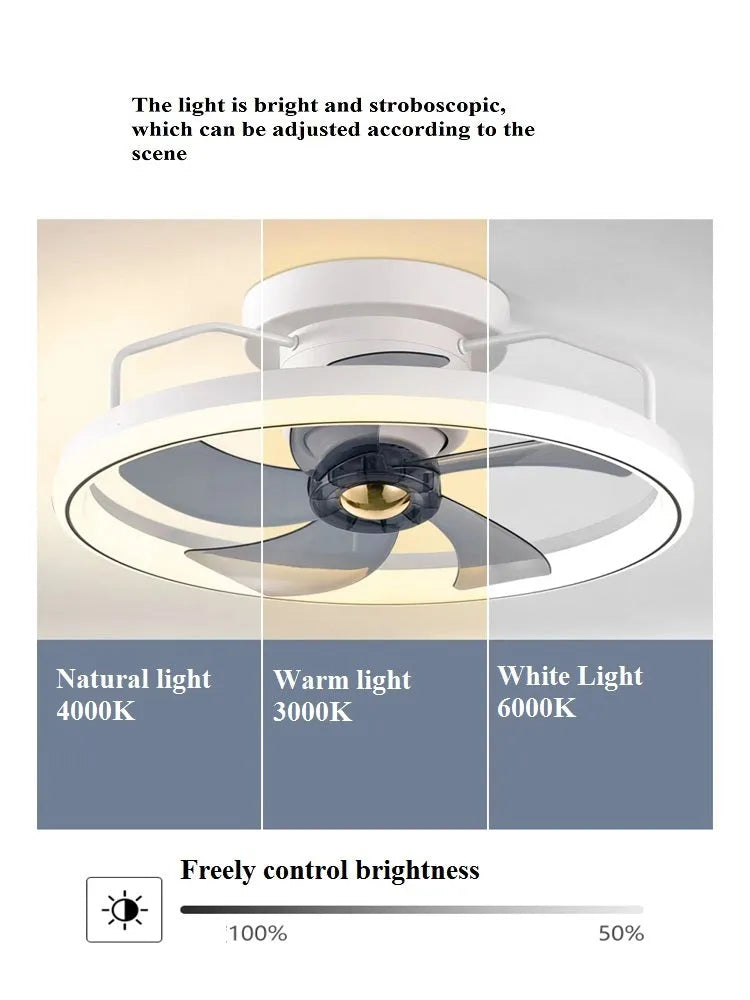 Modern ceiling fan with integrated light showing 500mm diameter PC blades and acrylic lampshade in neutral colour