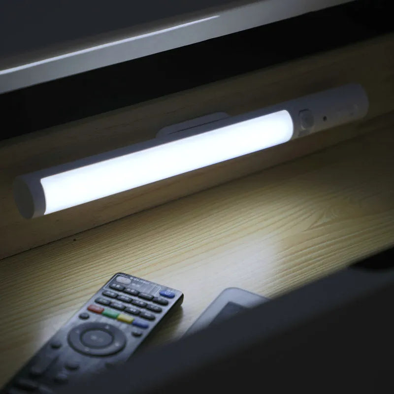Human body induction cabinet wall light with magnetic installation and LED array