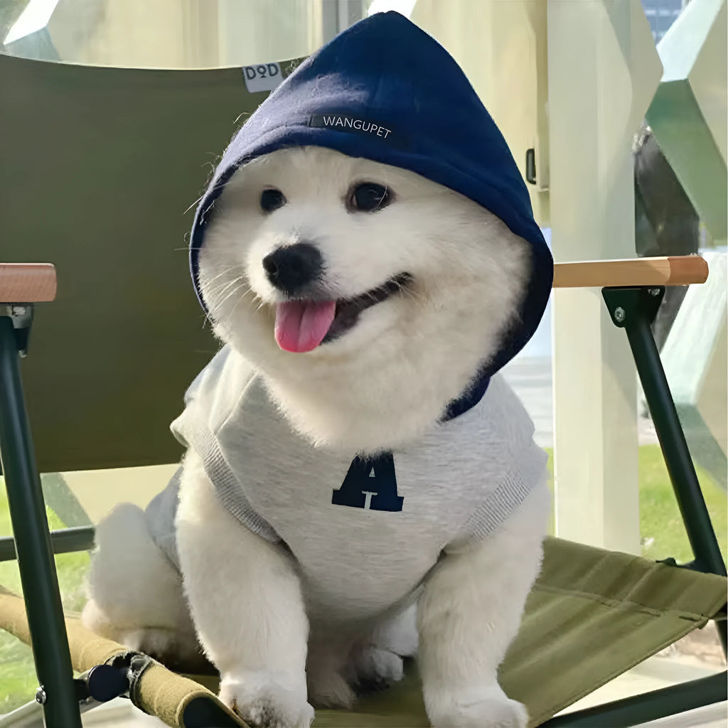Blue and grey white pet hoodie with reflective letters, slim-fitting design for cats and dogs