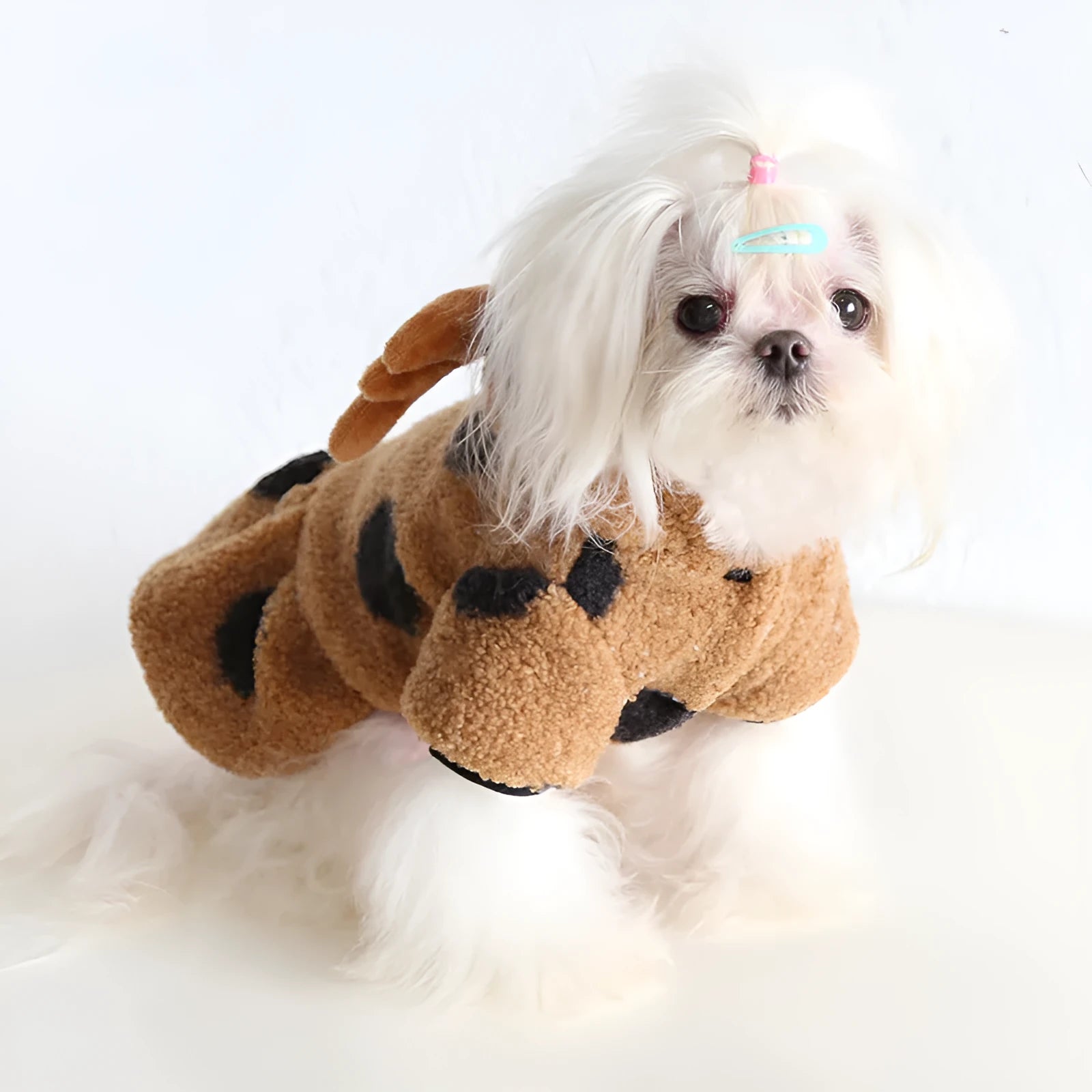 Polka dot dog and cat clothing in skirt or four-legged styles sizes XS to XL
