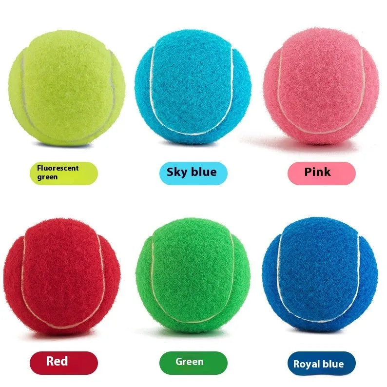 6.3cm diameter dog tennis ball toy in five colour options including fluorescent green, made from bite-resistant rubber.