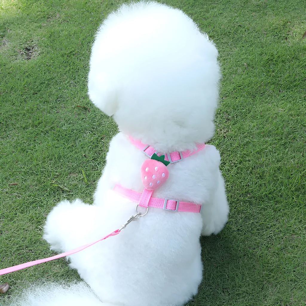Reflective chest strap vest harness for small dogs with hand-holding rope in avocado colour