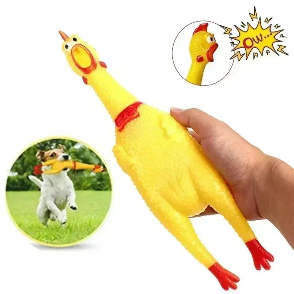 Yellow rubber squeaky chicken dog chew toy shown in small, medium, and large sizes.
