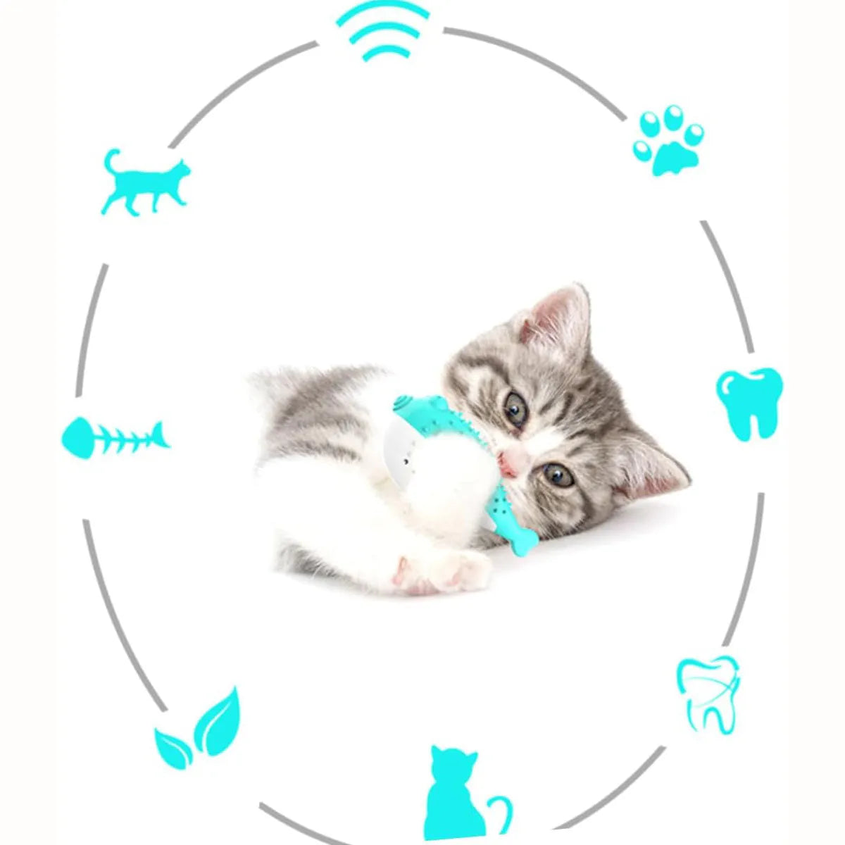 Blue silicone fish-shaped cat chew toy with toothbrush texture for grabing and chewing