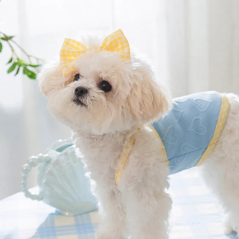 Small dog wearing heart bow vest with elastic suspenders in Bondi Blue colour