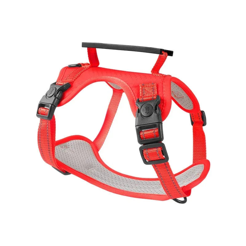 Polyester dog harness and lead set in multiple colours with adjustable chest strap for large medium small dogs