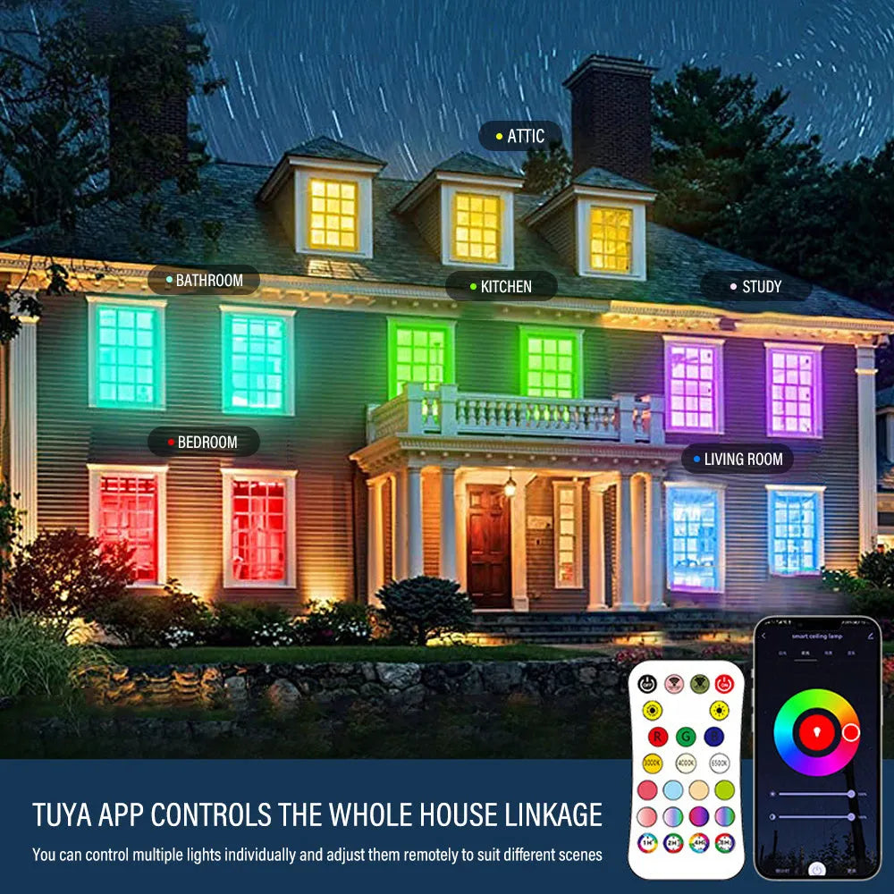 Black RGBCW Bluetooth smart ceiling lamp with full colour and dimming control, 300mm diameter.