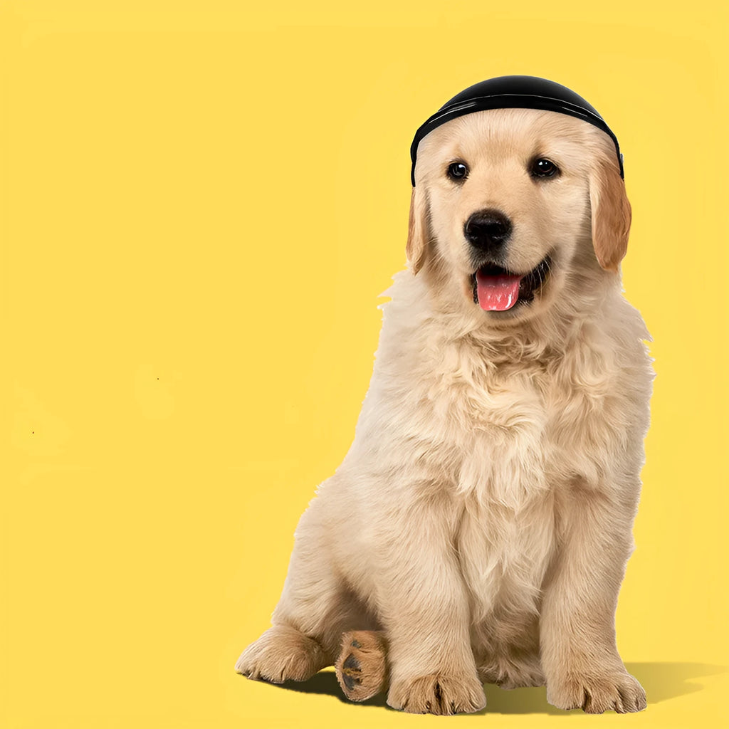S size plastic pet motorcycle helmet shown in pink, black, yellow, and green colours