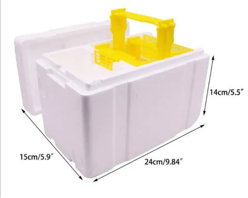 Three white foam bee queen transport boxes for beekeeping and mating applications