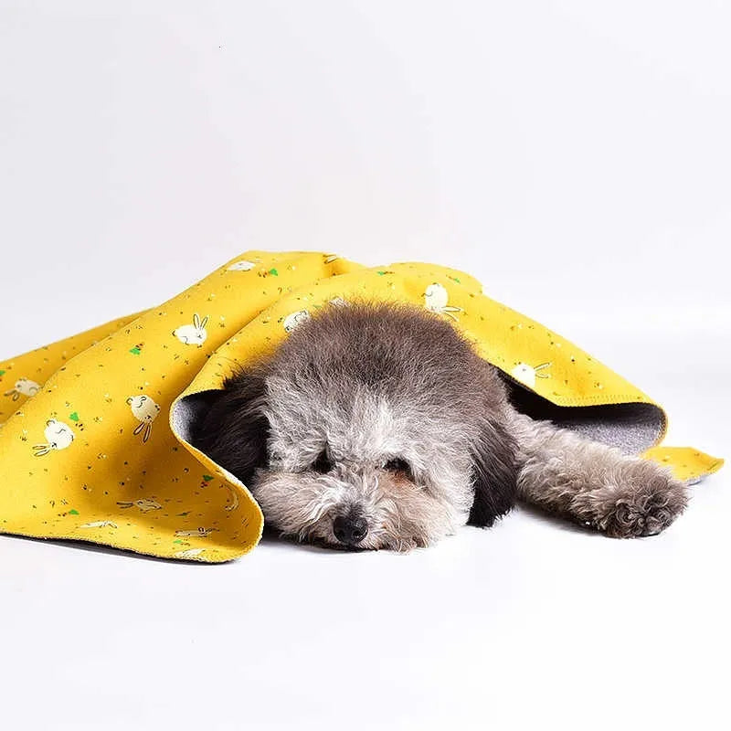 Reversible cotton velvet pet blanket with dinosaur print in multiple size options