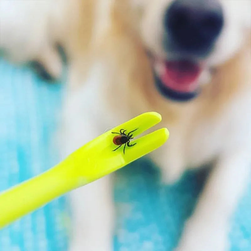 Three plastic pet tick removal clip tools with hook comb, shown in blue or green colour options.