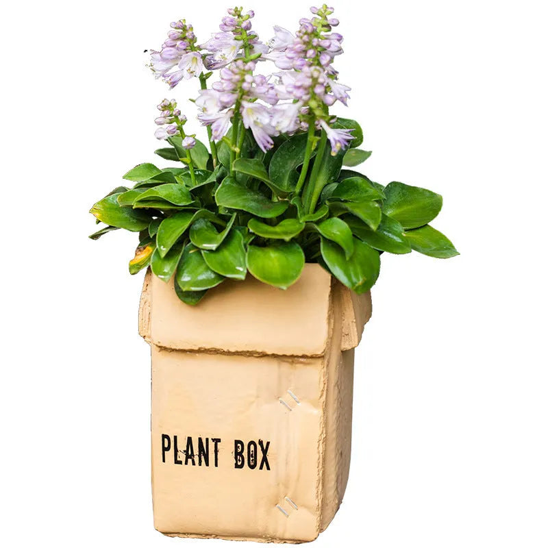 Cement brown paper box style floor planter with a drainage hole, shown in a Nordic indoor setting.