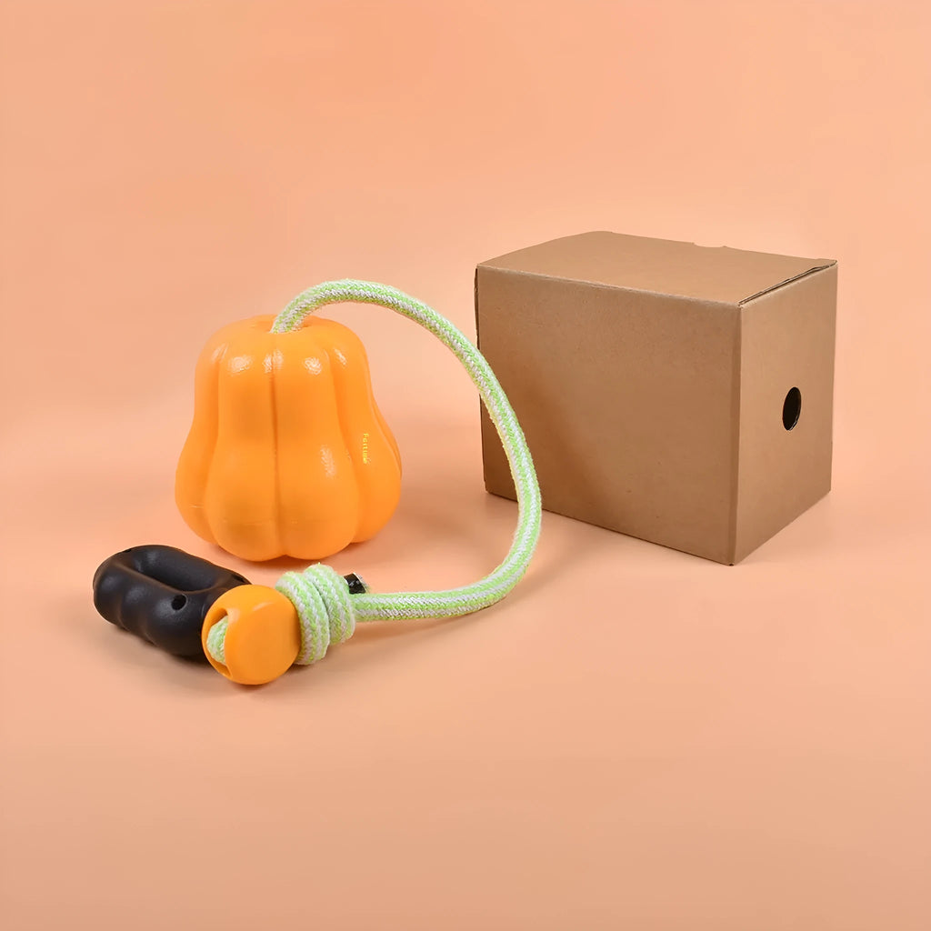 Pumpkin orange plastic dog chew toy with rope attachment for throwing games
