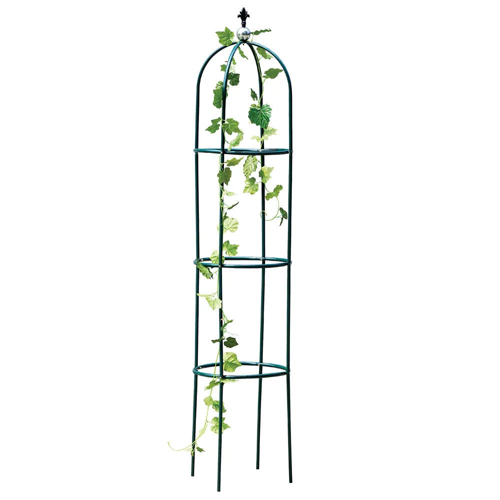 Dark green wrought iron plant climbing frame with lattice design for indoor vines