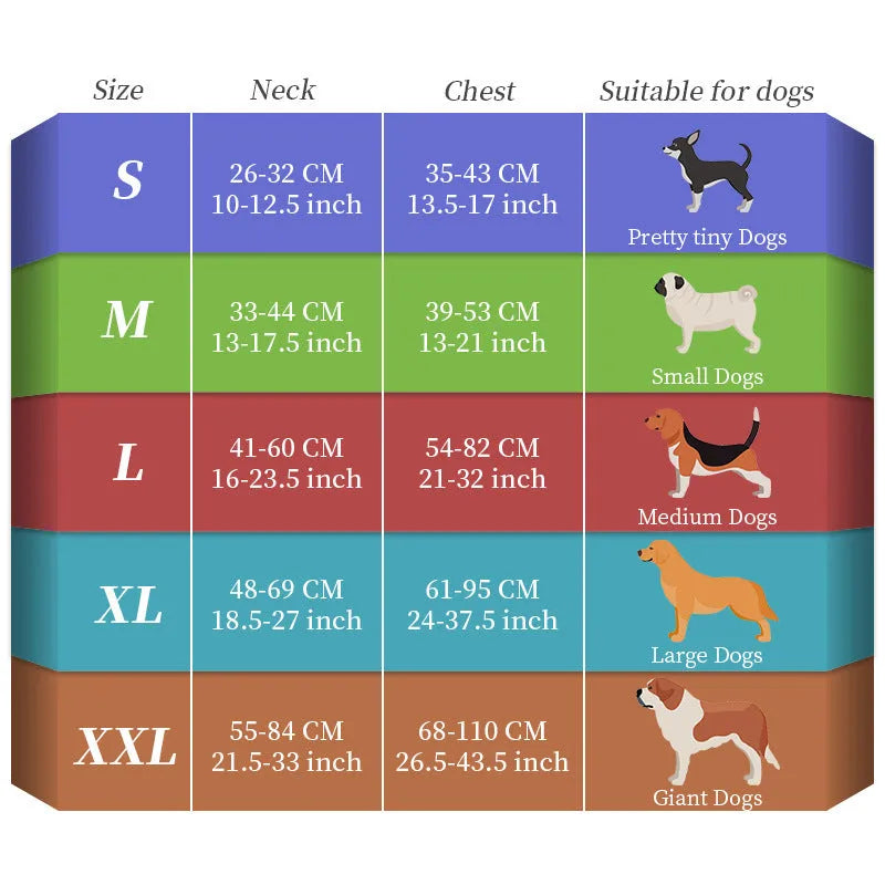 Luminous dog lead with seven-colour LED illumination and hand-held design for night-time walking
