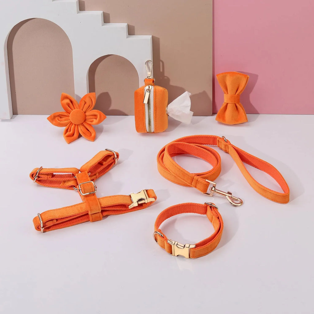 Velvet dog collar and lead set with chest strap, decorative bow tie, and flower accessory in multiple colour options
