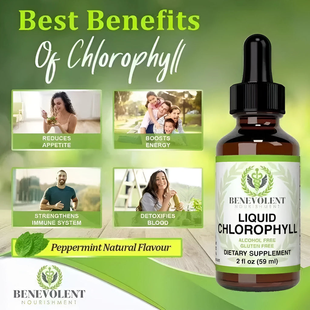 60 ml bottle of mint chlorophyll drops with a dropper for adult dietary supplement use