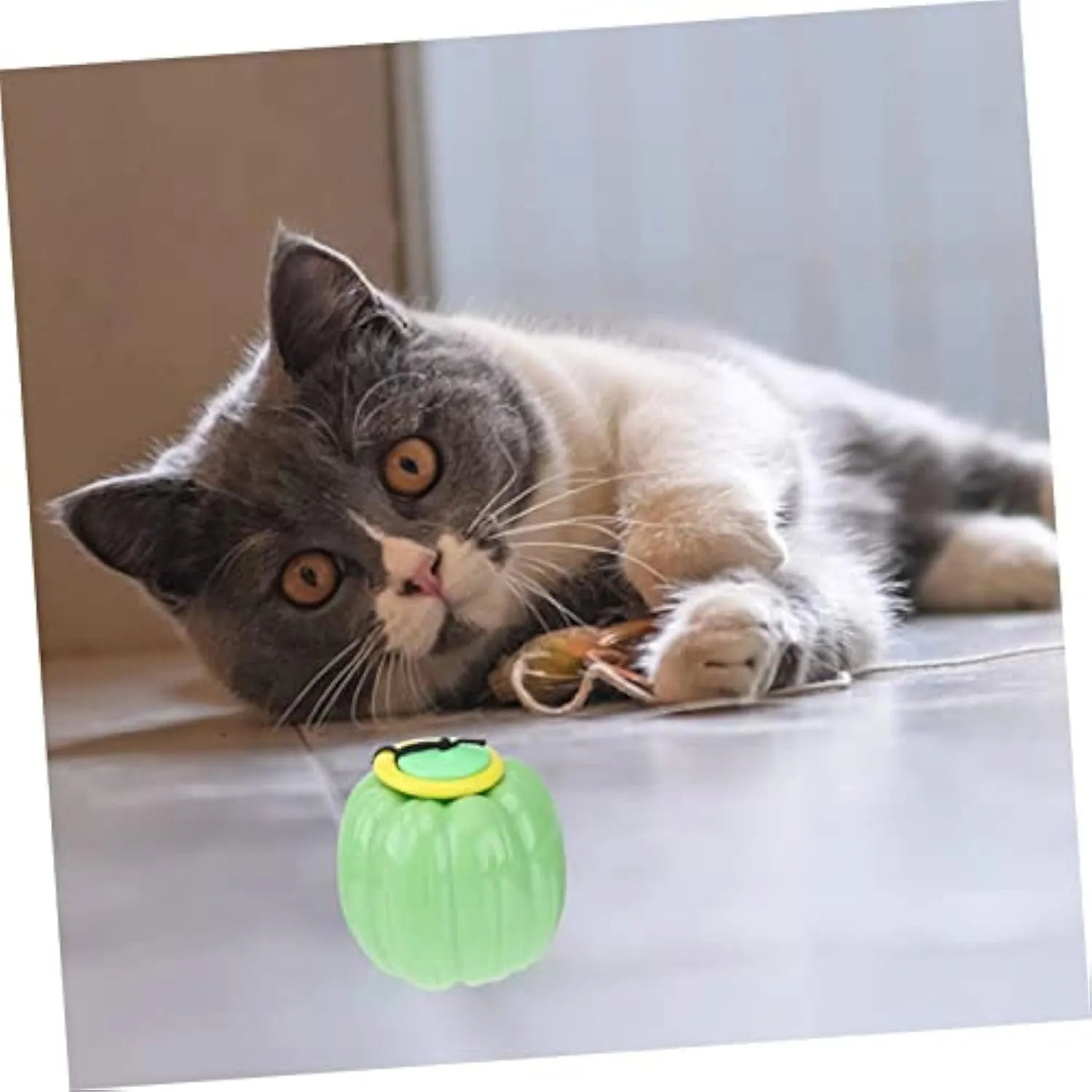 Green, orange, and yellow plastic pumpkin-shaped dog chew toy with squeaker for small dogs.