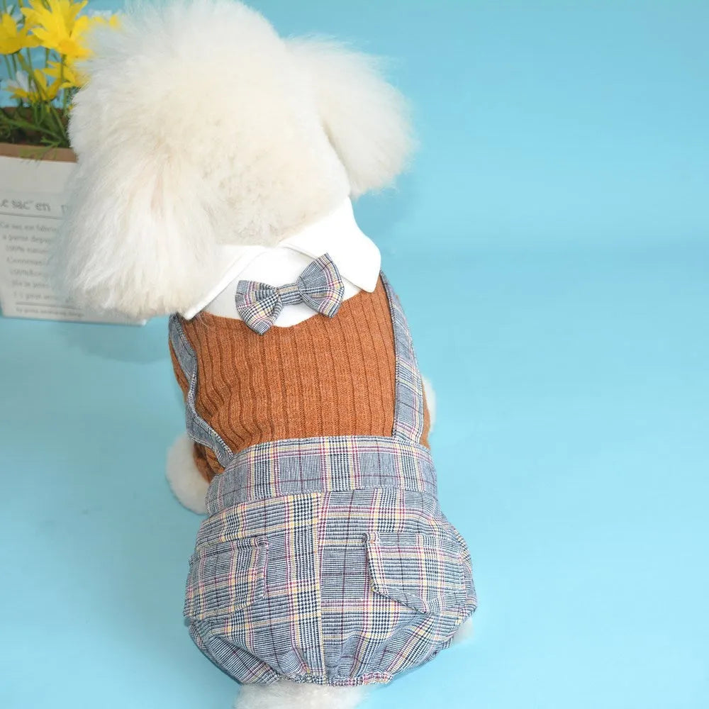 Orange cotton dog suit shirt for small dogs laid flat showing simple shirt design