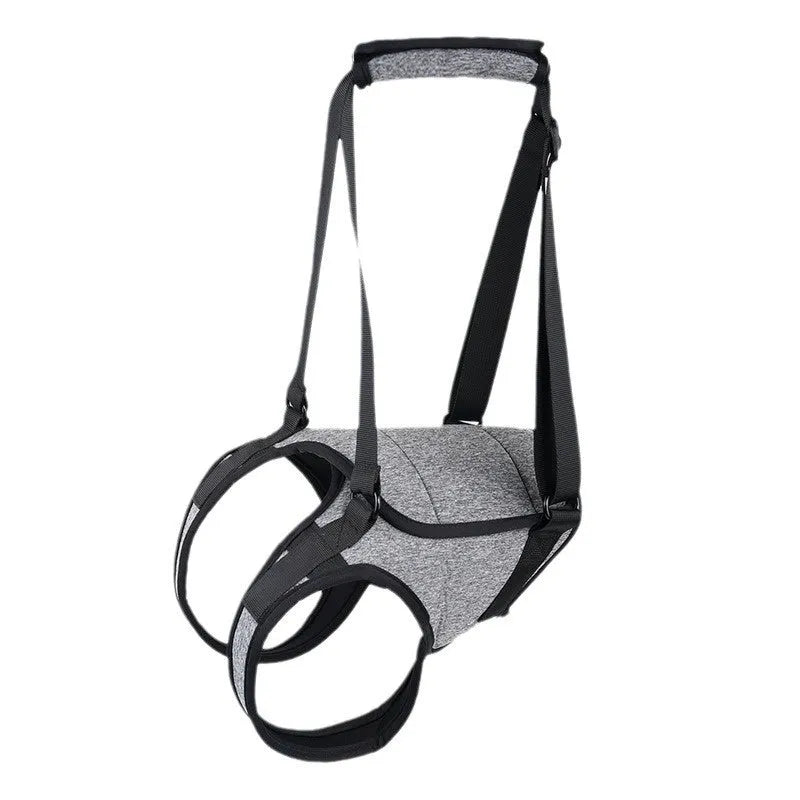 Grey neoprene dog rear leg recovery support belt with adjustable waist and thigh straps.