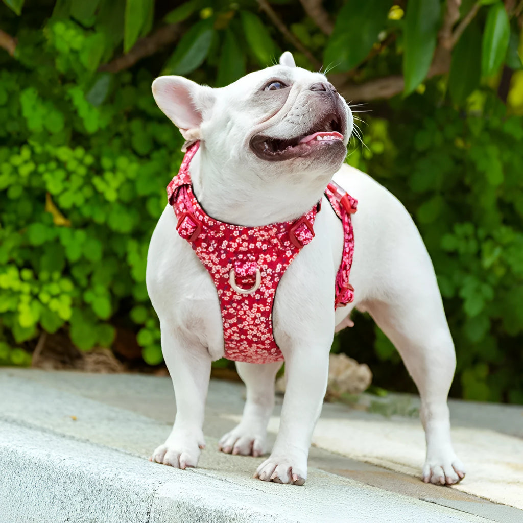Pure cotton pet chest strap in floral red pattern with adjustable sizes for dogs and cats
