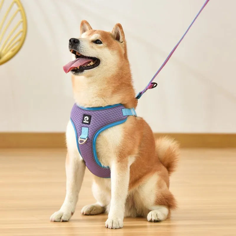 Adjustable breathable dog harness with reflective piping in black, red, gray, or light purple