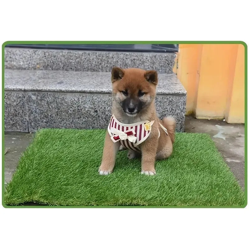Artificial grass dog toilet training mat on floor with measurement showing 46x36cm size