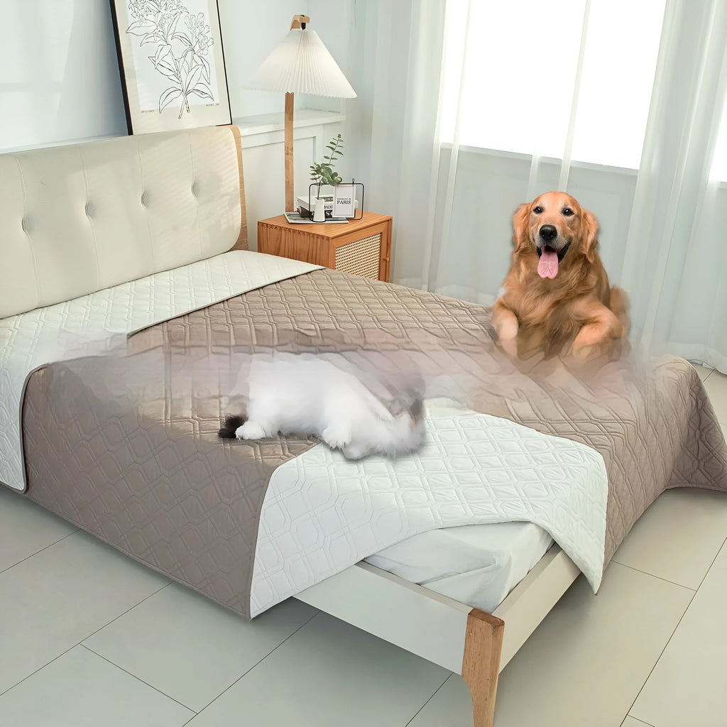 Dark grey and light grey double-sided waterproof dog cushion on a sofa