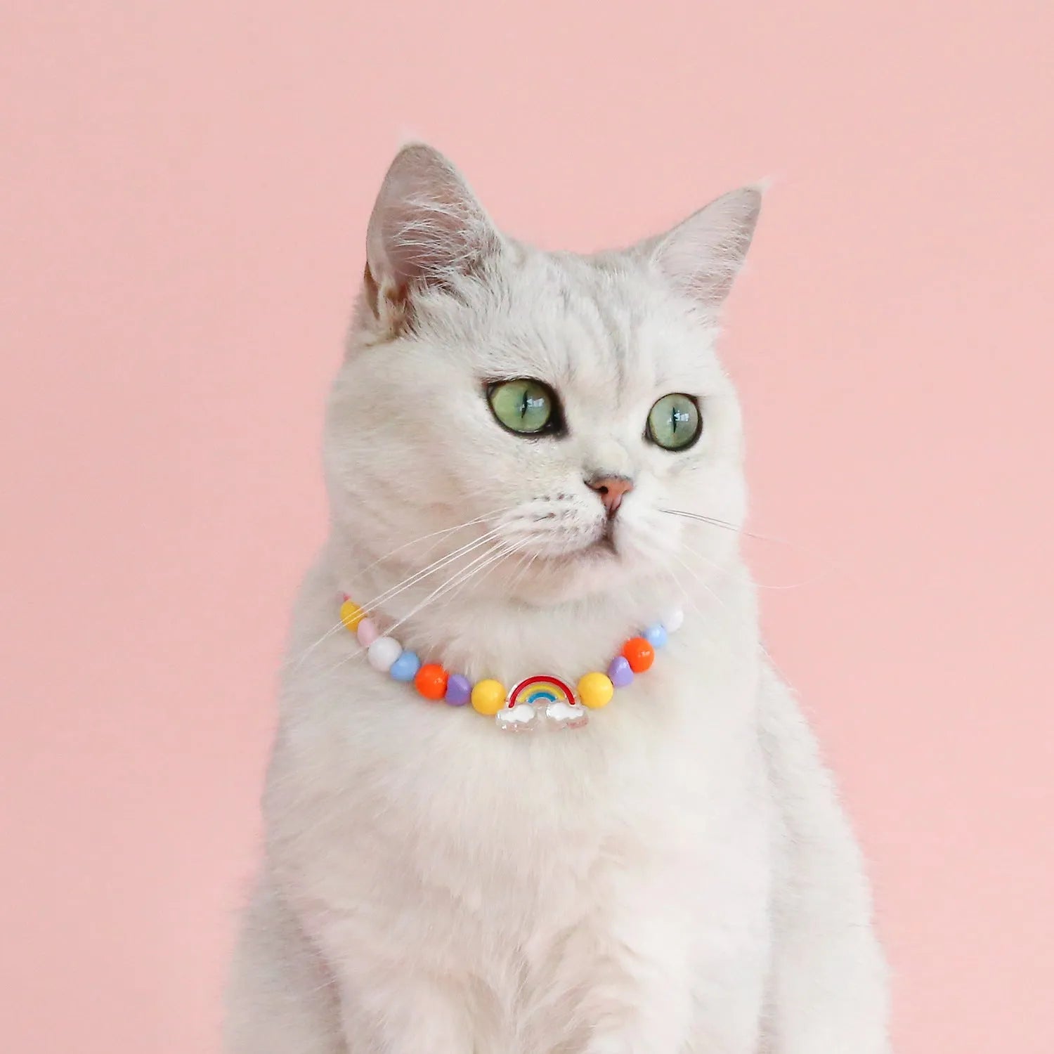 Colourful plastic bead cat necklace with adjustable sizing in peach, rainbow or small flower patterns