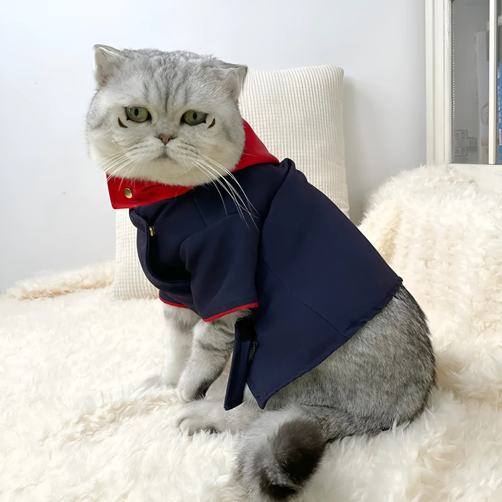 Tiger staff yuren coloured pet hoodie costume for small to medium cats and dogs