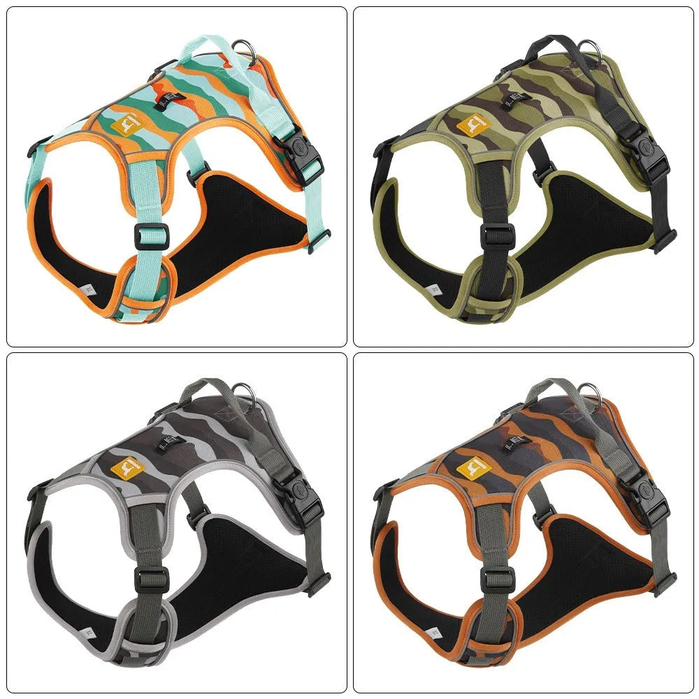 Reflective orange dog harness and leash set on a dog, showing chest and back straps and hand-holding rope.