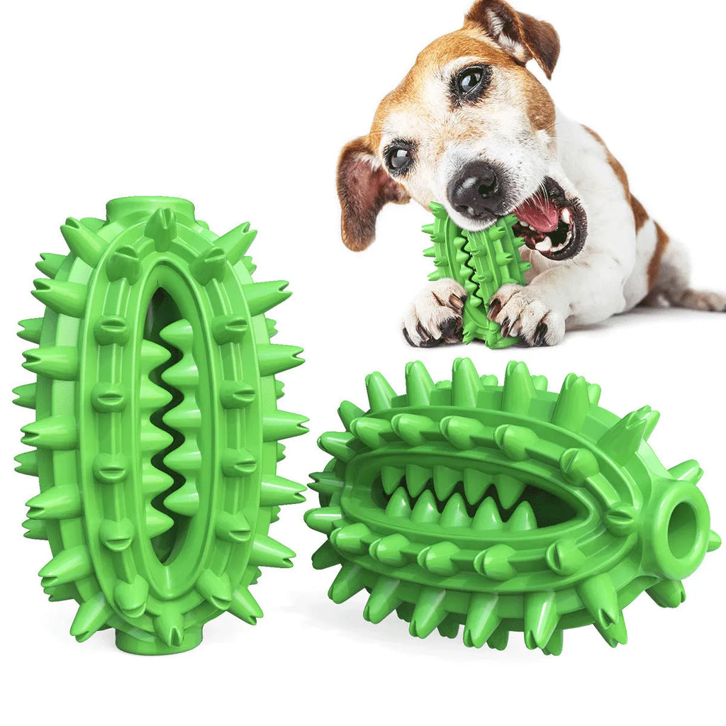 Green cactus-shaped dog chew toy with textured bumps for dental cleaning