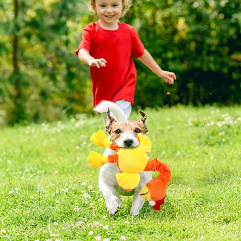 Black, green, and orange TPR dog chew toy shaped with a screaming chicken sound feature.