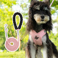 Polyester dog vest and hand holding rope set in blue, green, pink, or yellow colour