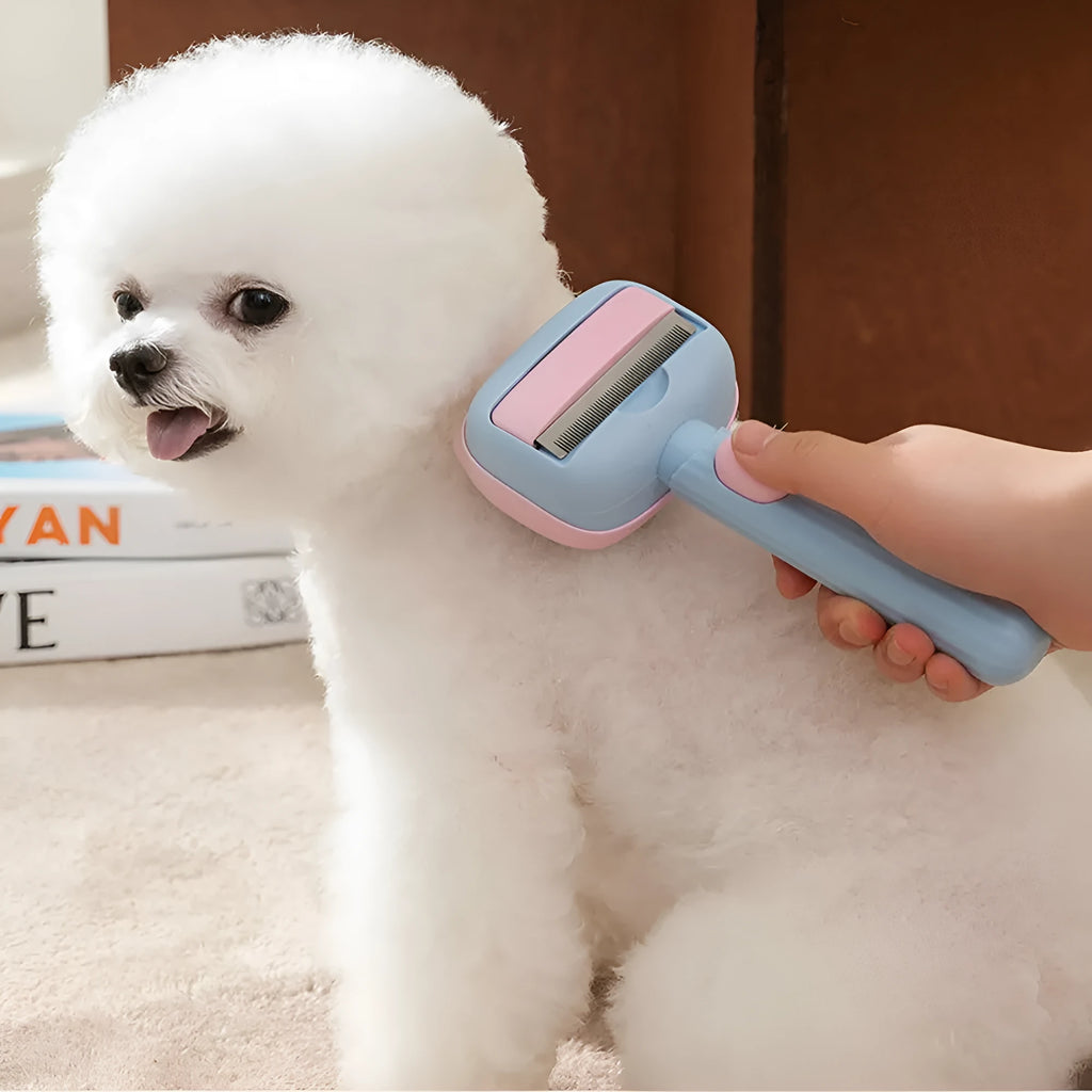 Blue and green dual-sided pet grooming brush showing deshedding rake and dematting comb.