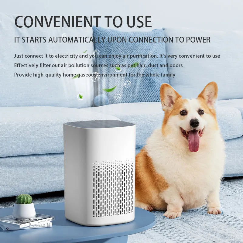 Simple style desktop air purifier with USB connection and heating function for small rooms