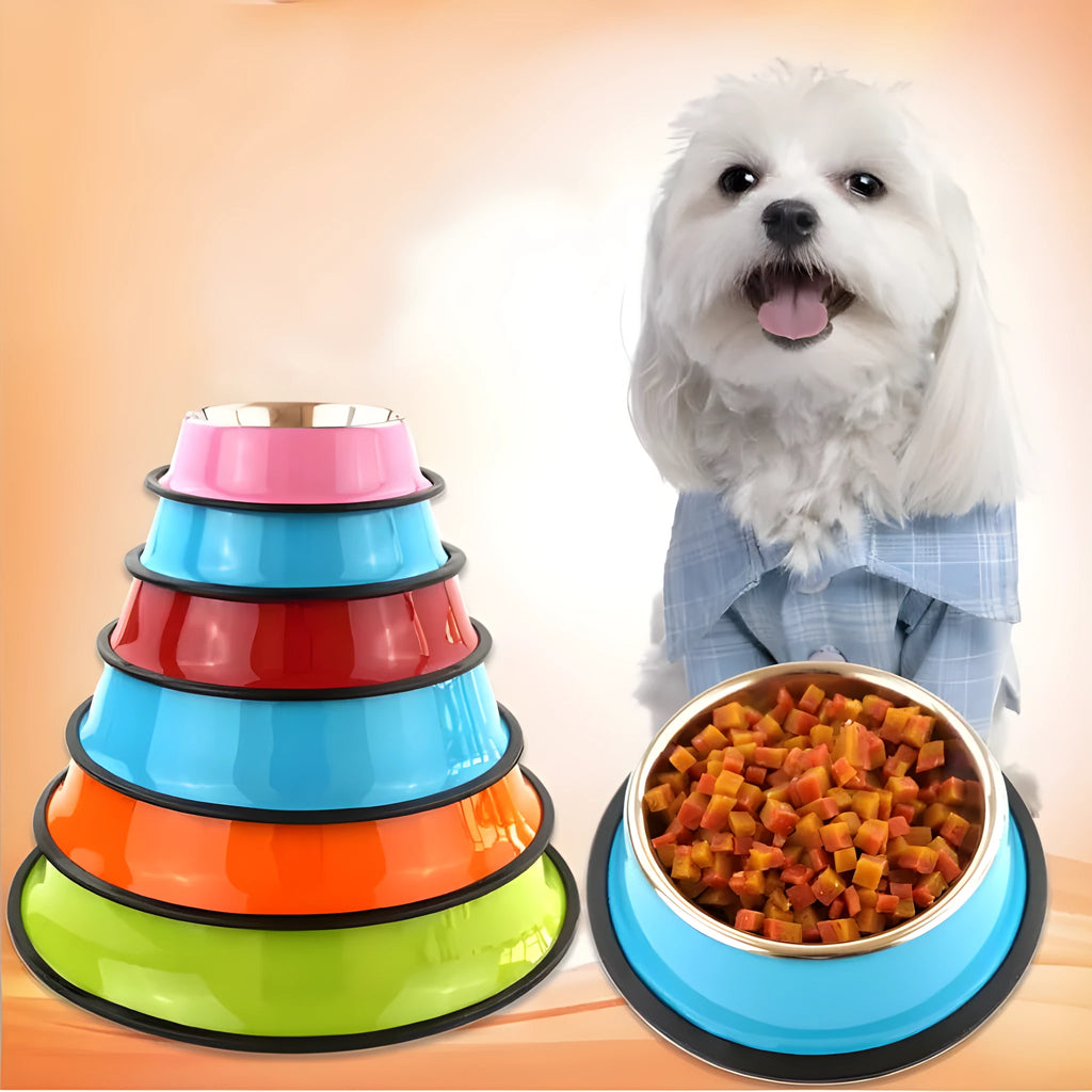 Stainless steel pet bowl with colourful melamine exterior in six size options with non-slip base