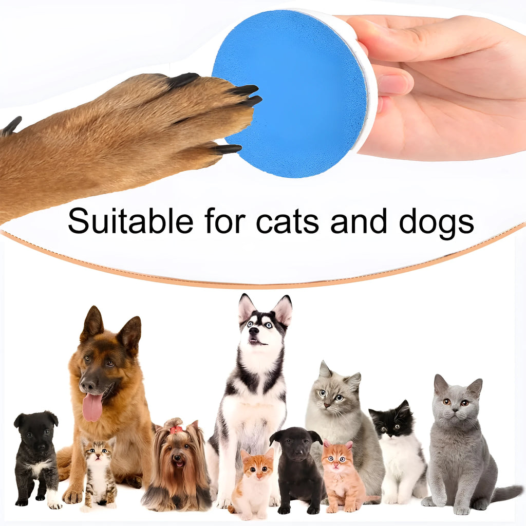 Square dog nail file grinder board with ergonomic handle in one of four colours.