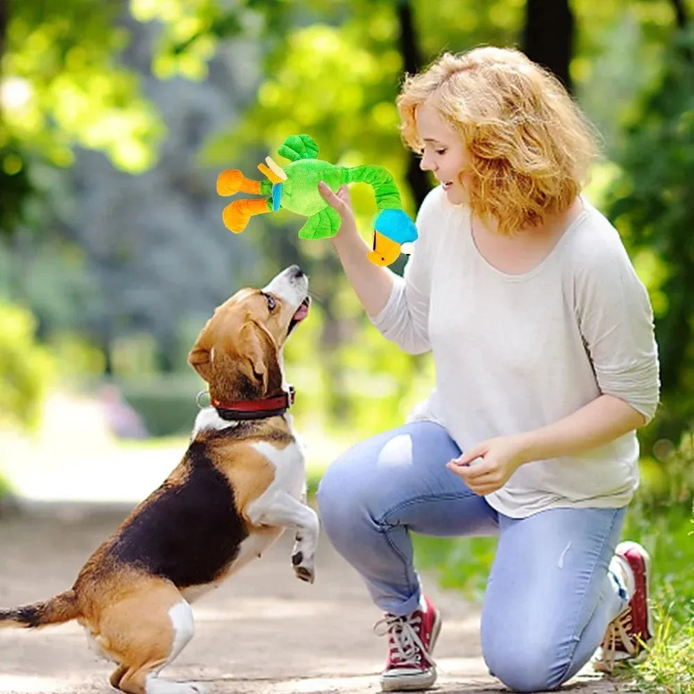 Black, green, and orange TPR dog chew toy shaped with a screaming chicken sound feature.