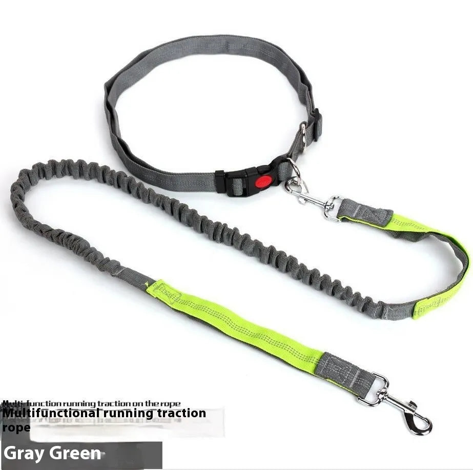 Grey and green reflective nylon dog leash with elastic section, shown at 2.5cm width.