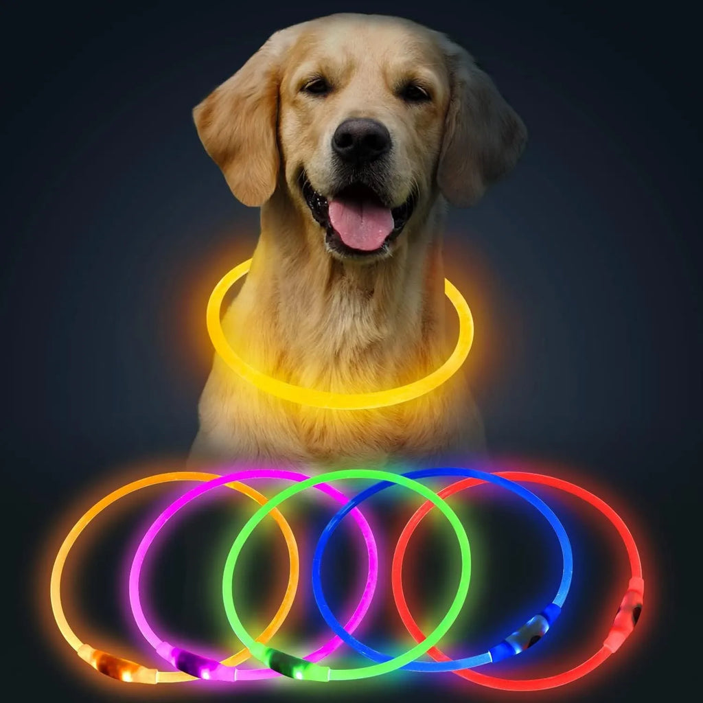 USB-rechargeable LED dog collar glowing blue with adjustable length for night safety