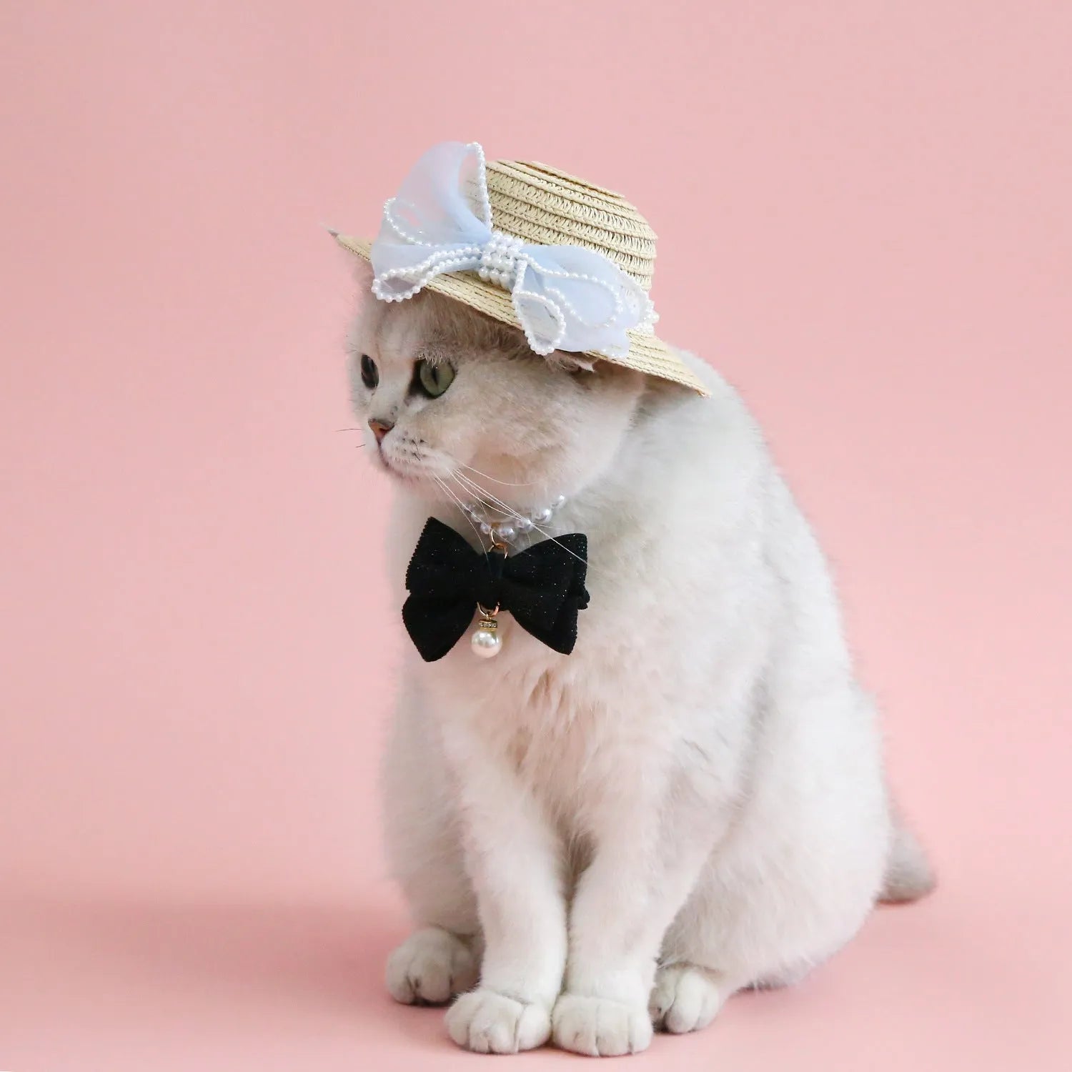 Pet cat wearing woven straw hat with pearl bow decoration in monochrome princess style