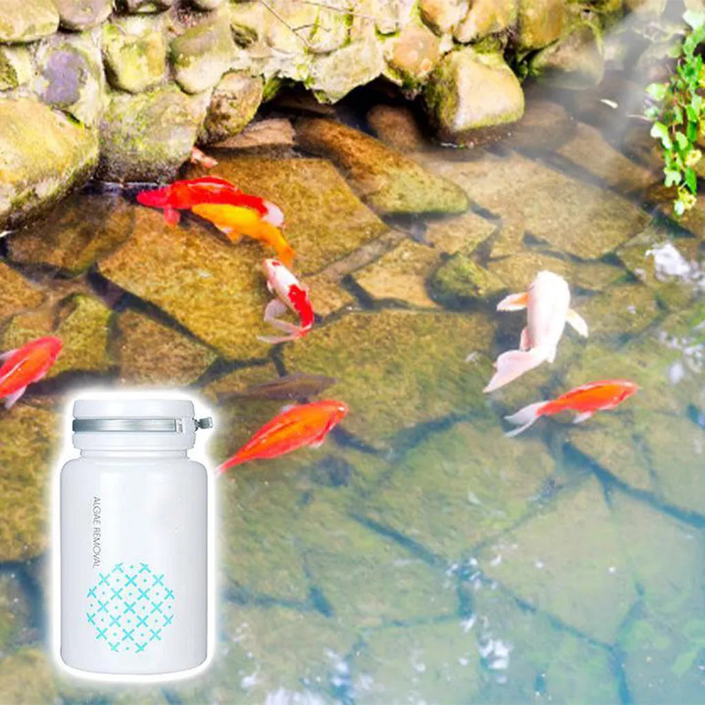 50g swimming pool algaecide bottle for algae removal and water treatment