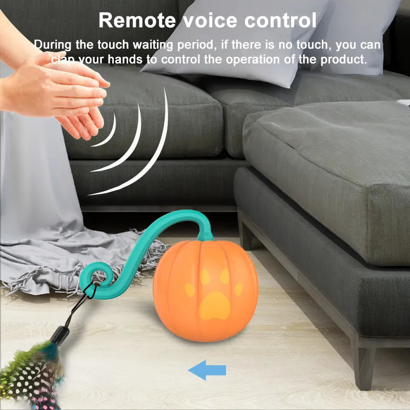 Electric cat toy with luminous ball in watermelon and pumpkin colour designs for indoor feline entertainment
