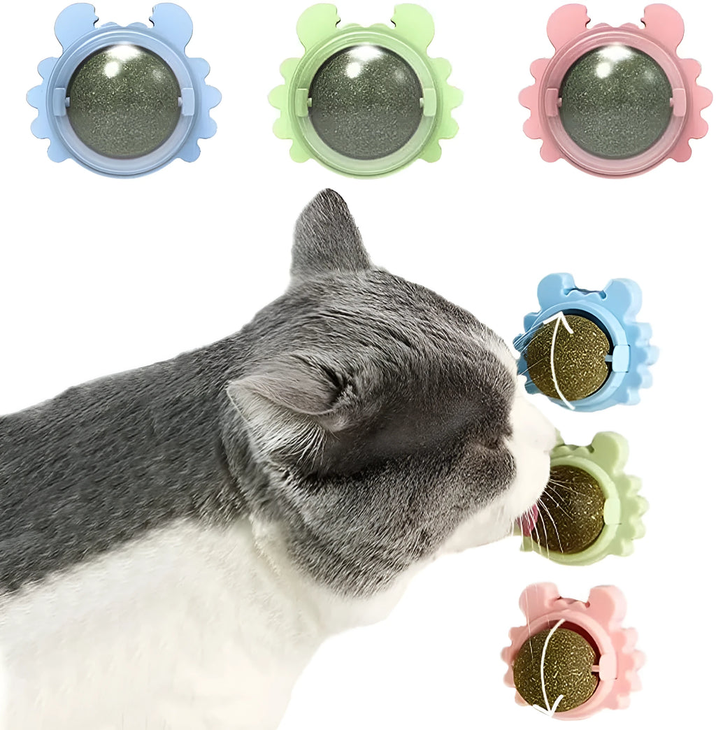 Catnip wall ball toy with three removable balls in blue, green and pink, mounted on a smooth wall for cats.