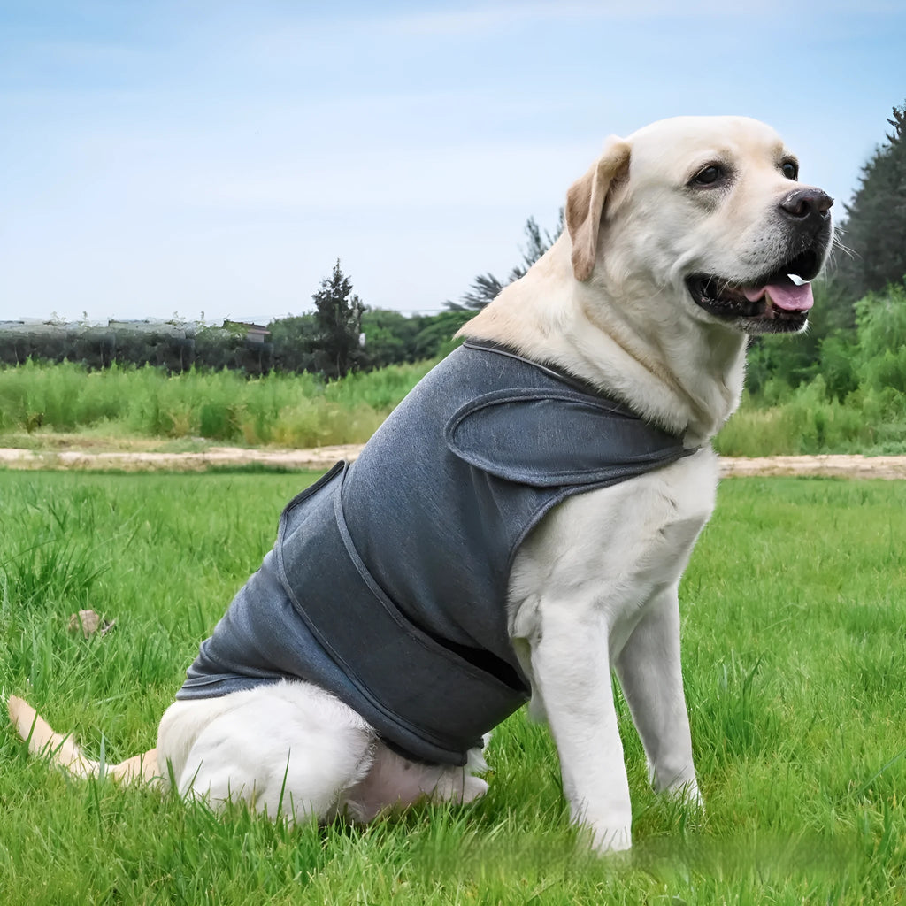 Dog wearing brown cotton-blend anxiety vest for separation relief